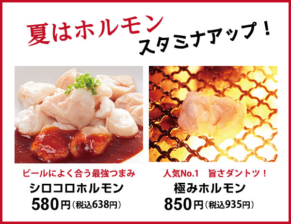 ホルモン